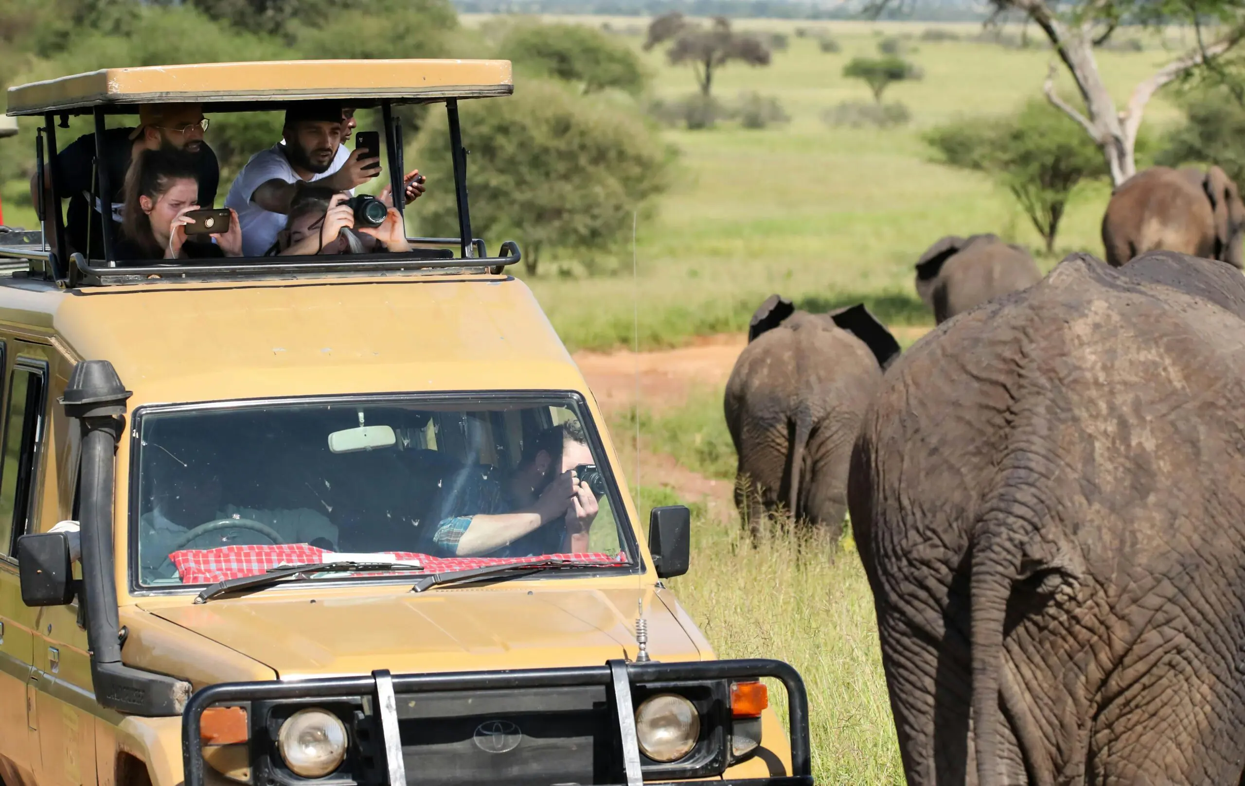 Tourists in a safari vehicle observe and photograph elephants during an African safari.